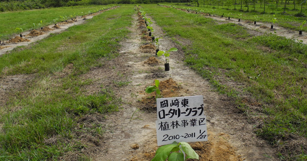 W.C.S　アマゾン森林植林支援事業