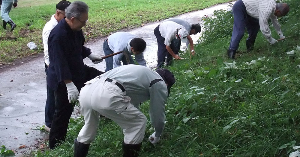 菅生川 草刈奉仕